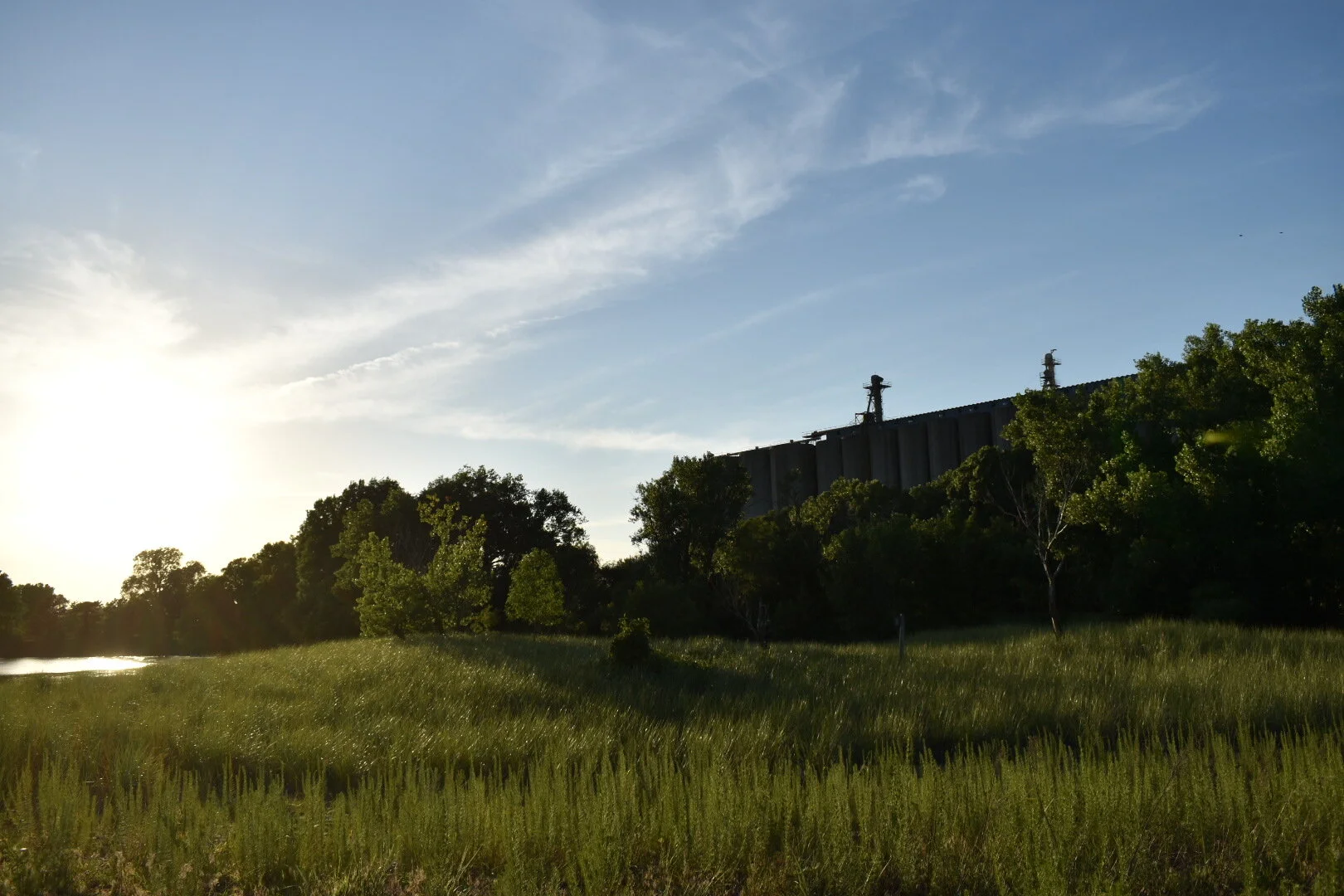 DSC_0045.jpg