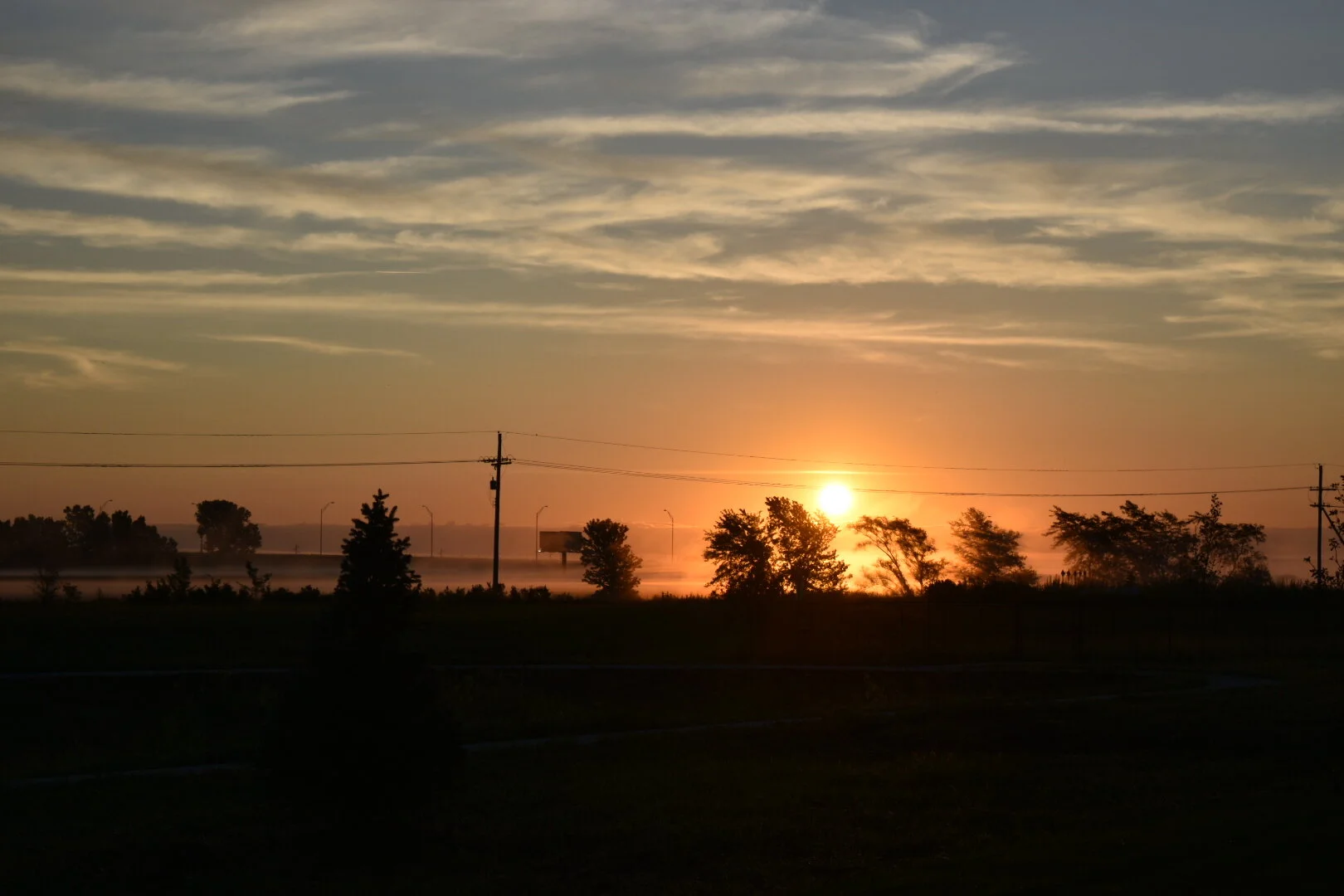 DSC_0202_1.jpg