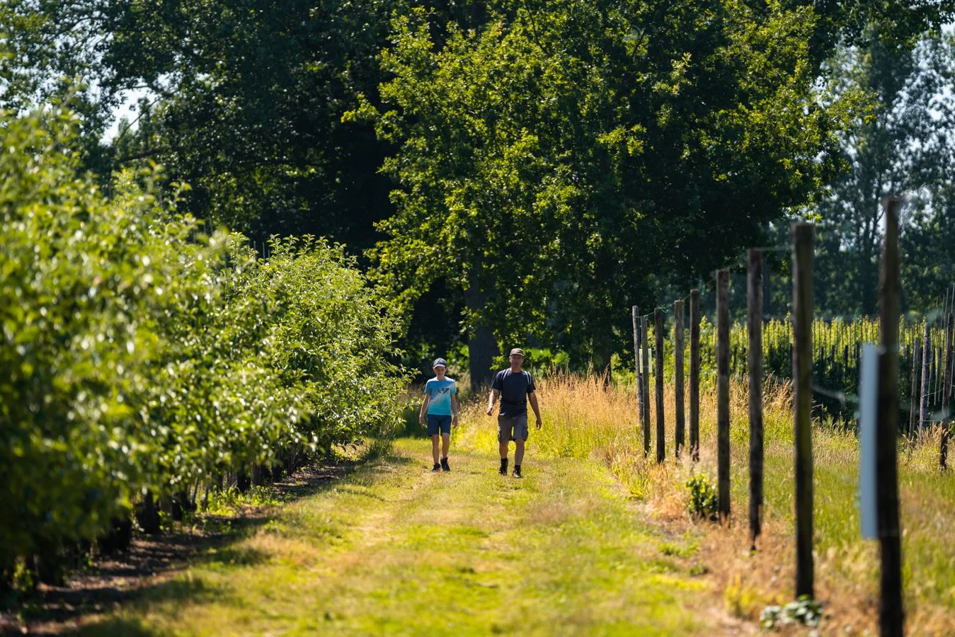 Aveve Farm Run & Walk-29.jpg