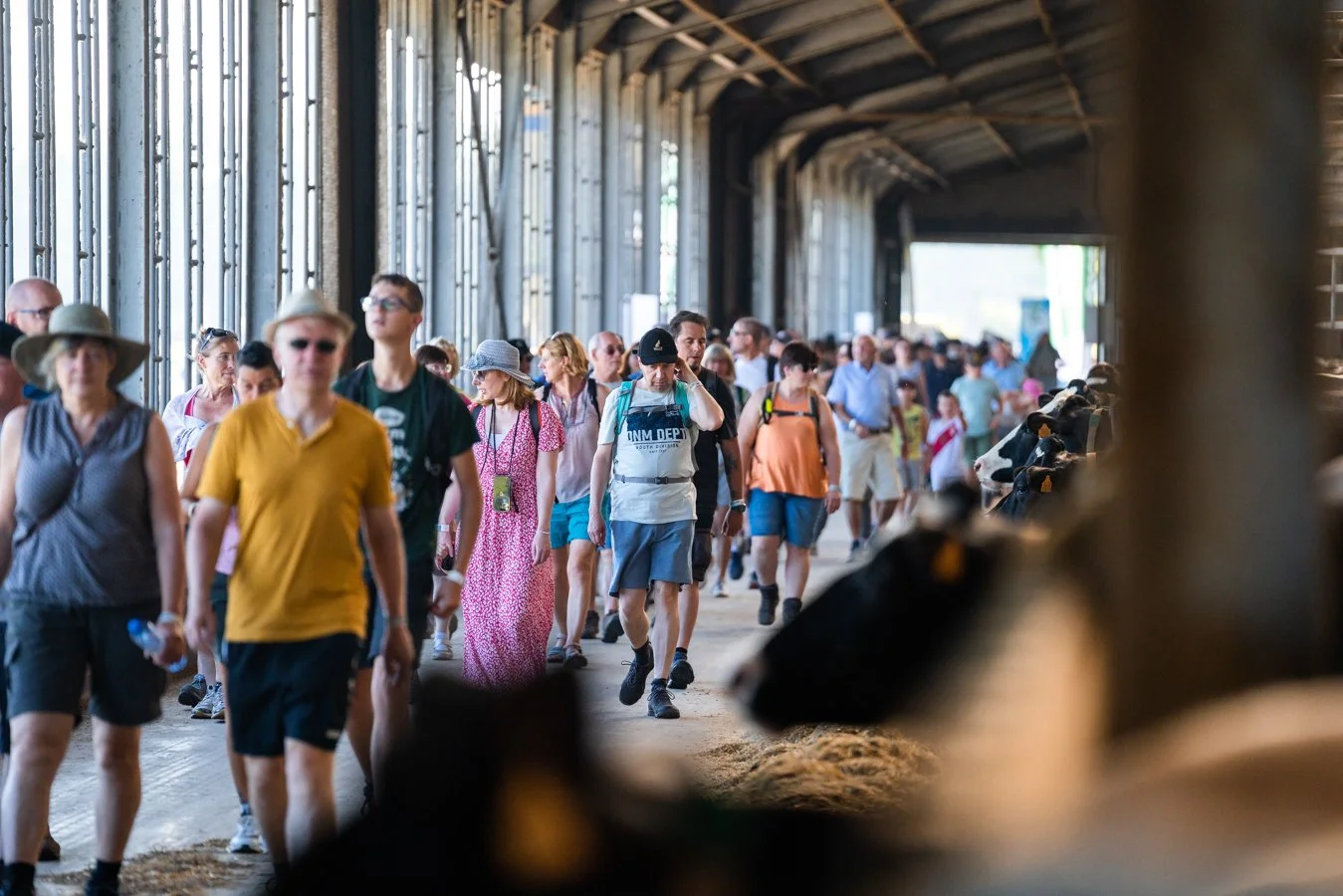 Aveve Farm Run & Walk-12.jpg