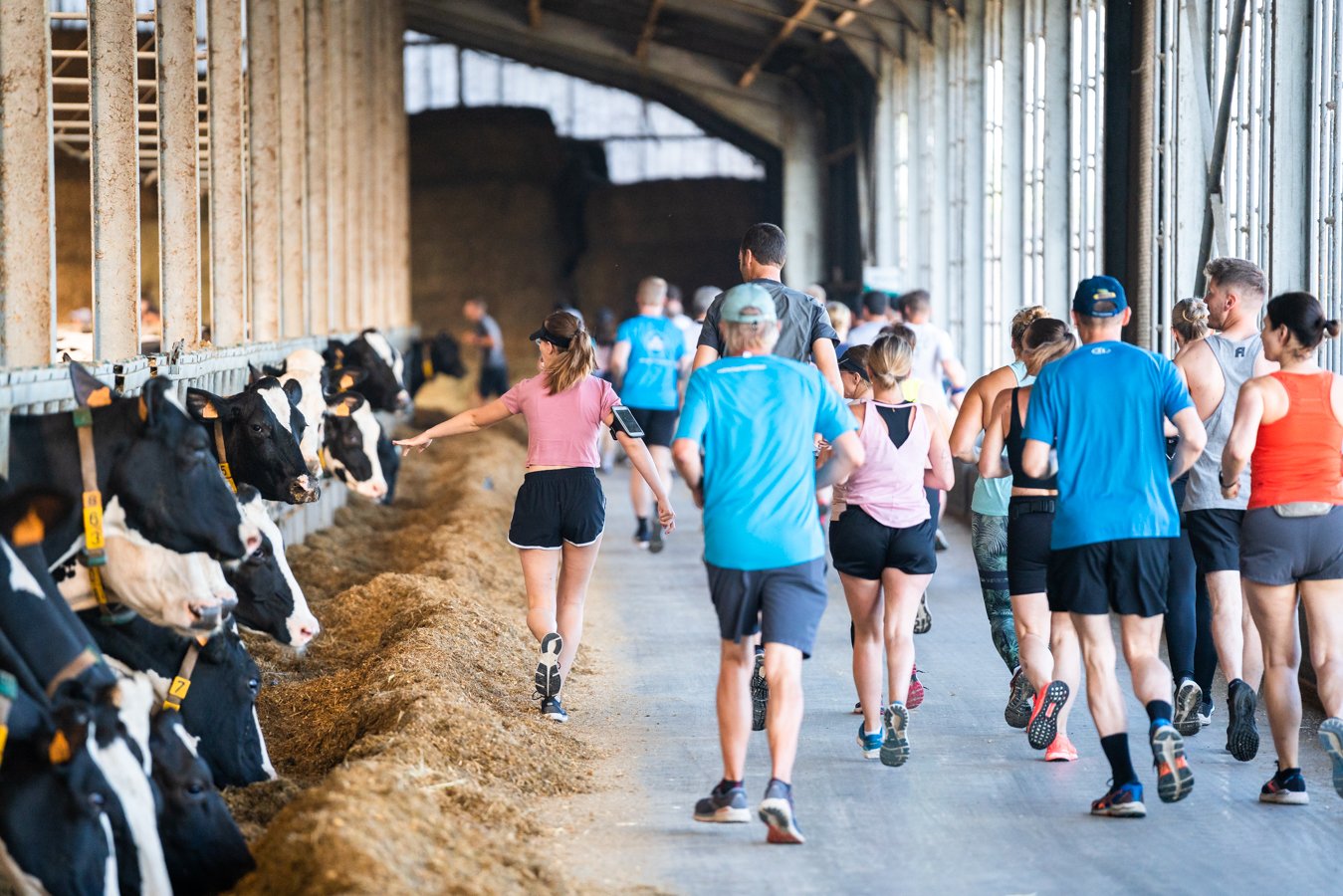 Aveve Farm Run & Walk-5.jpg