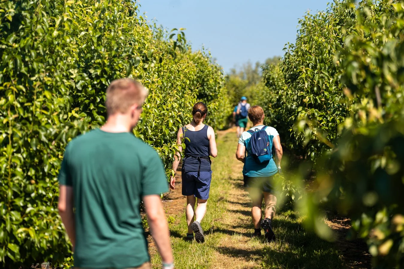 Aveve Farm Run & Walk-22.jpg