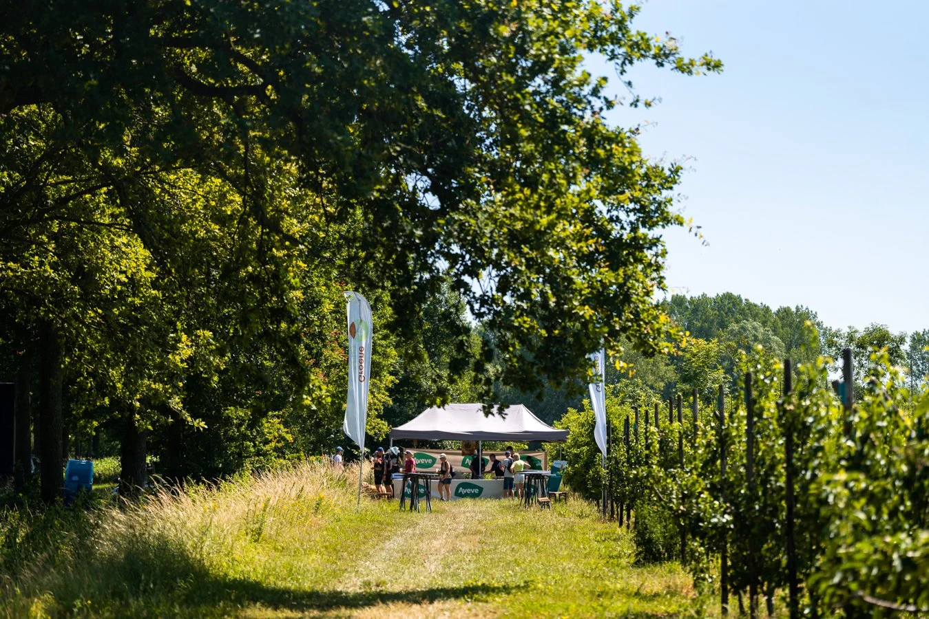 Aveve Farm Run & Walk-28.jpg