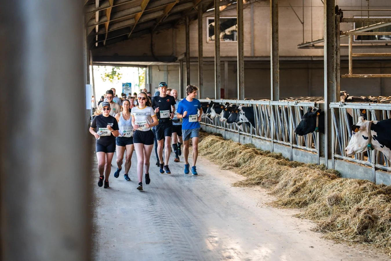 Aveve Farm Run & Walk-2.jpg