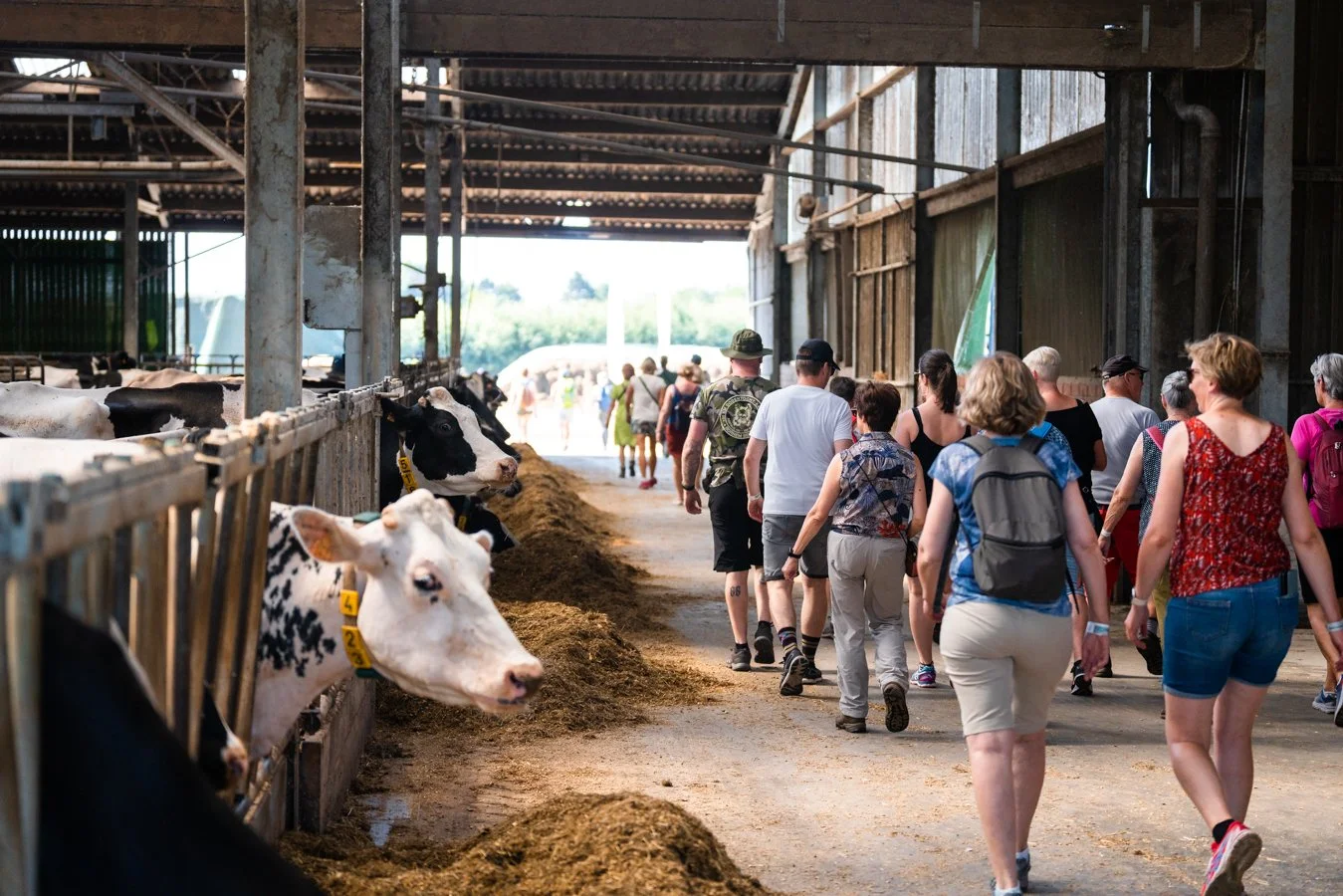 Aveve Farm Run & Walk-13.jpg