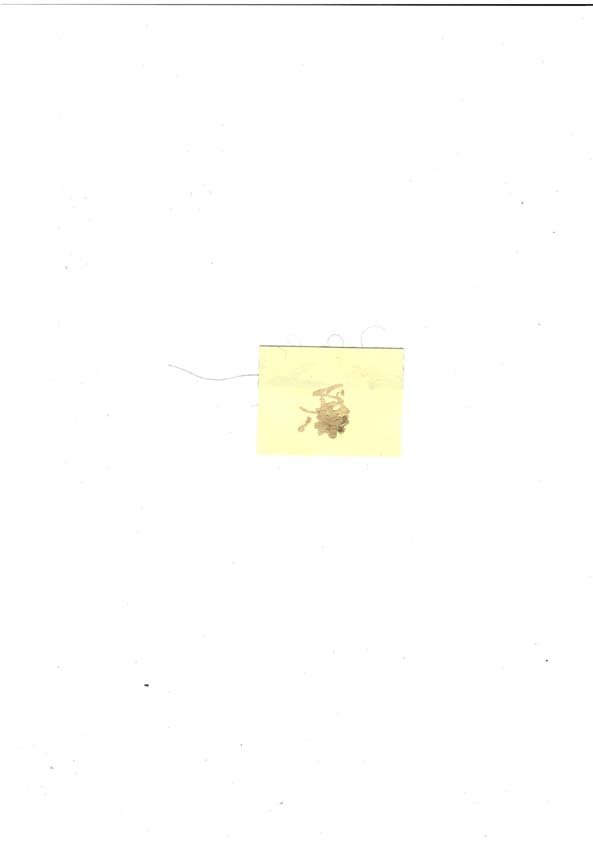 test0000 copy.jpg