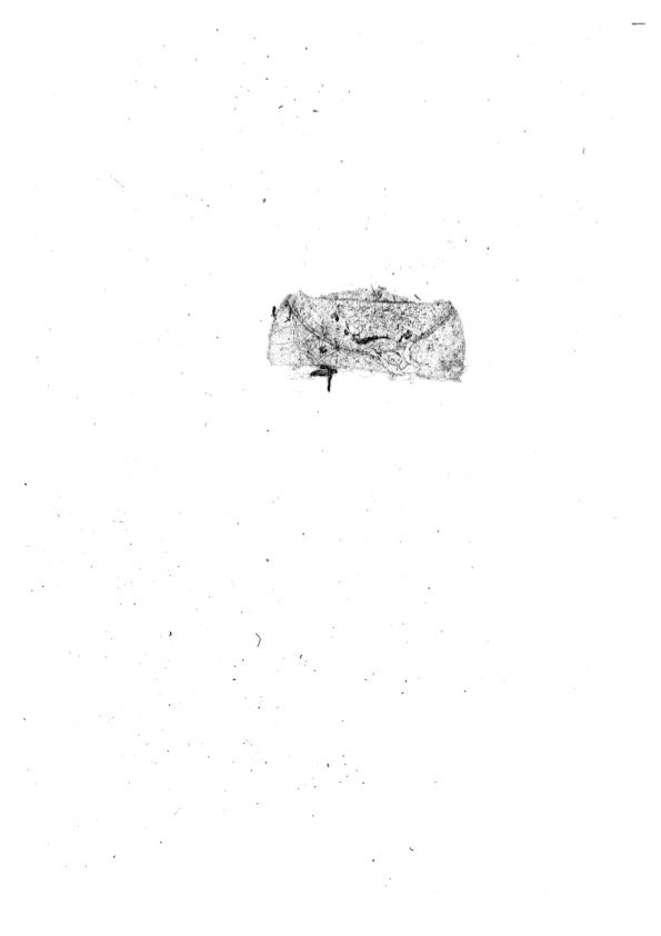 BAG19.jpg