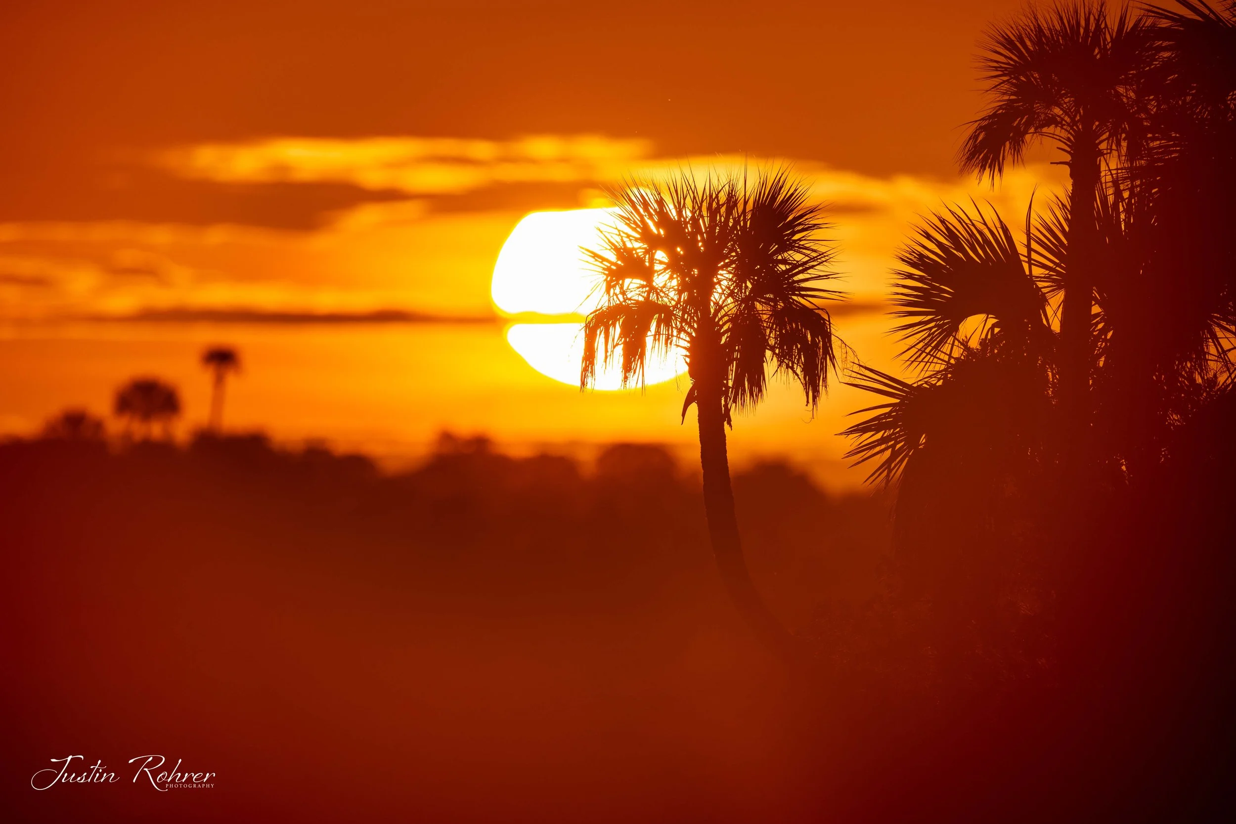 Tamiami Sunrise 
