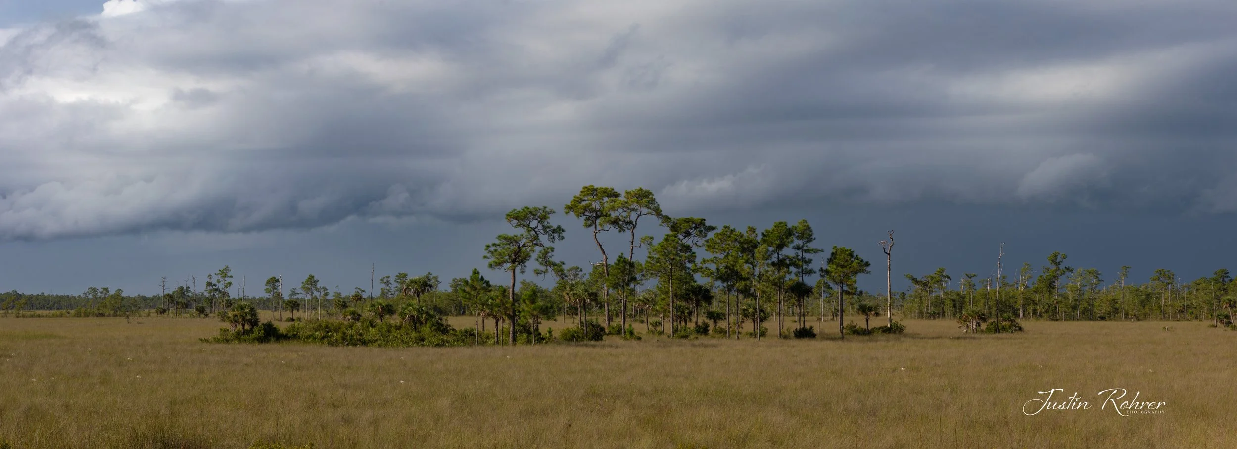 Big Cypress Shelf Cloud #2