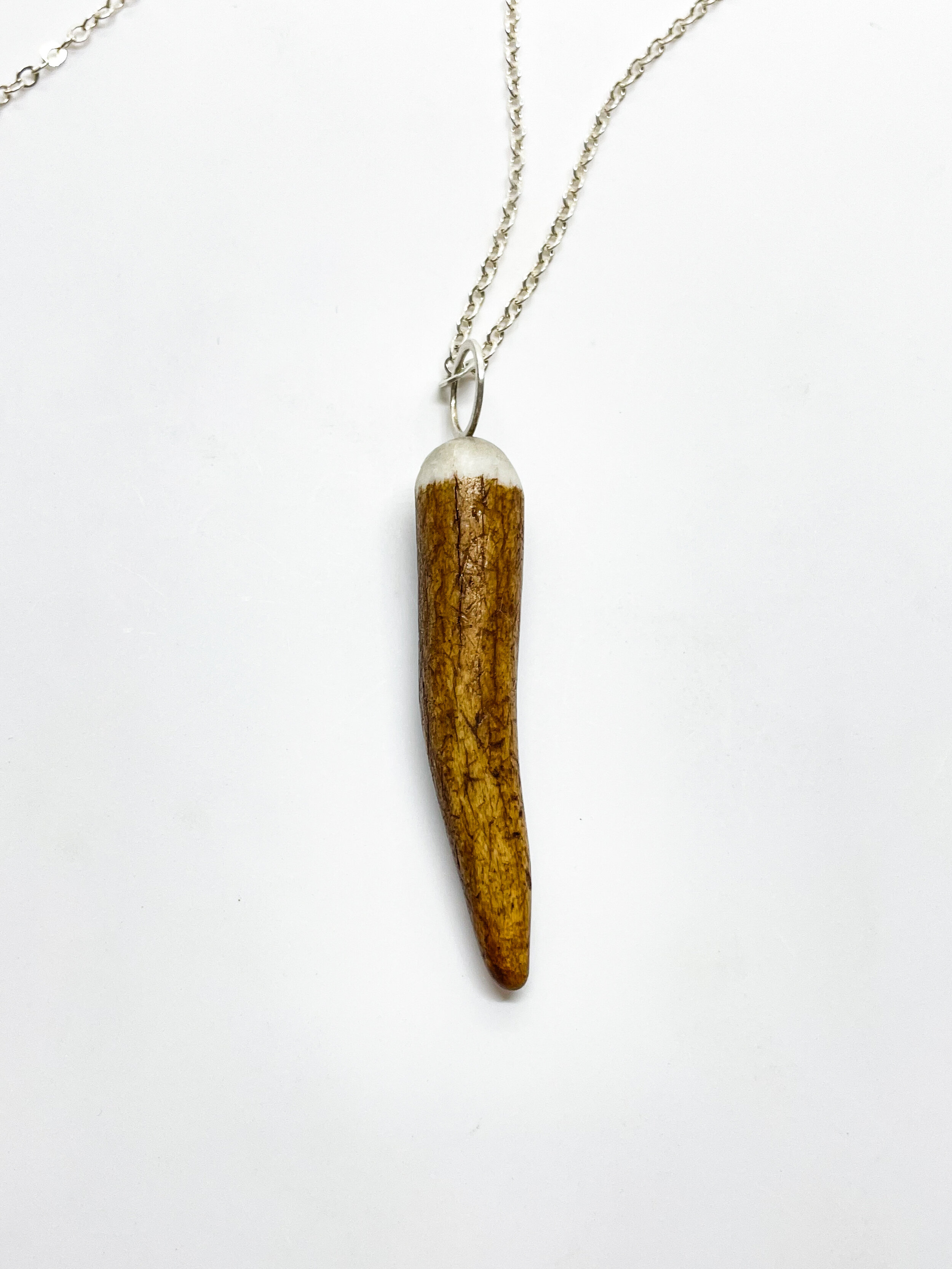Buy Genuine Spinosaurus Tooth Wire Pendant Online in India - Etsy