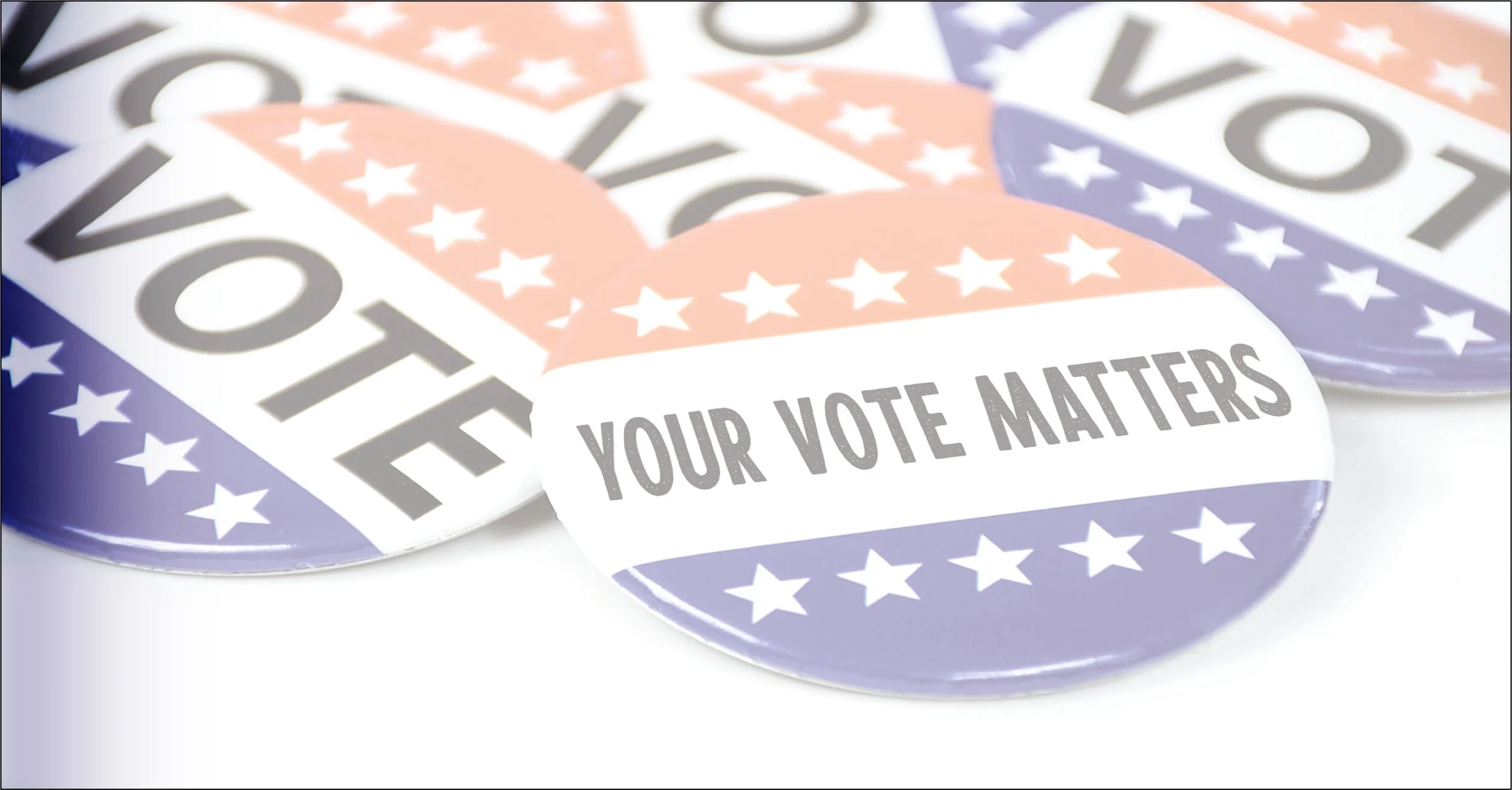 SC Primary Elections