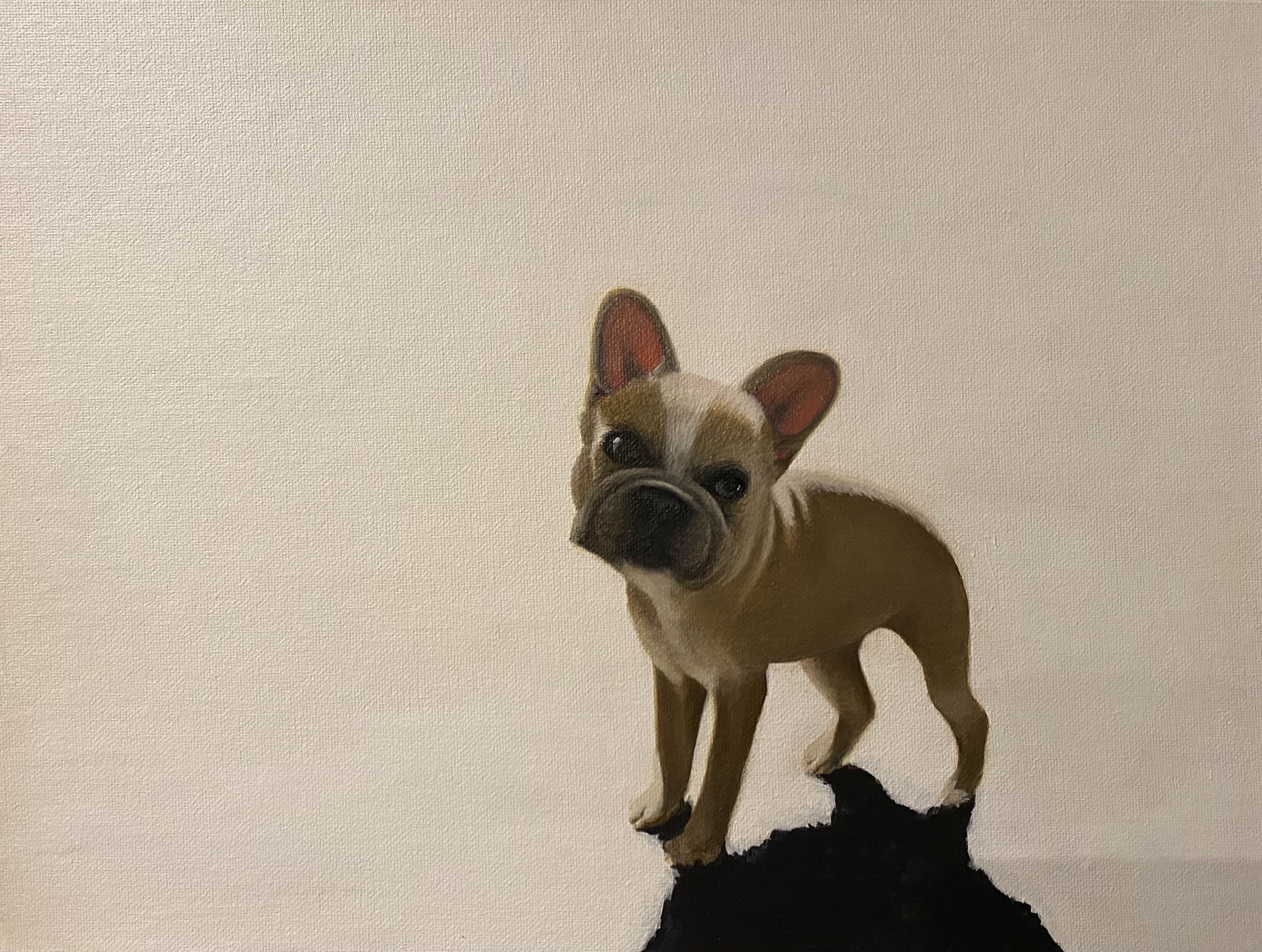 Cosmo is a little scoop of French Bulldog with a huge personality!
8x8 Acrylic on canvas *SOLD*