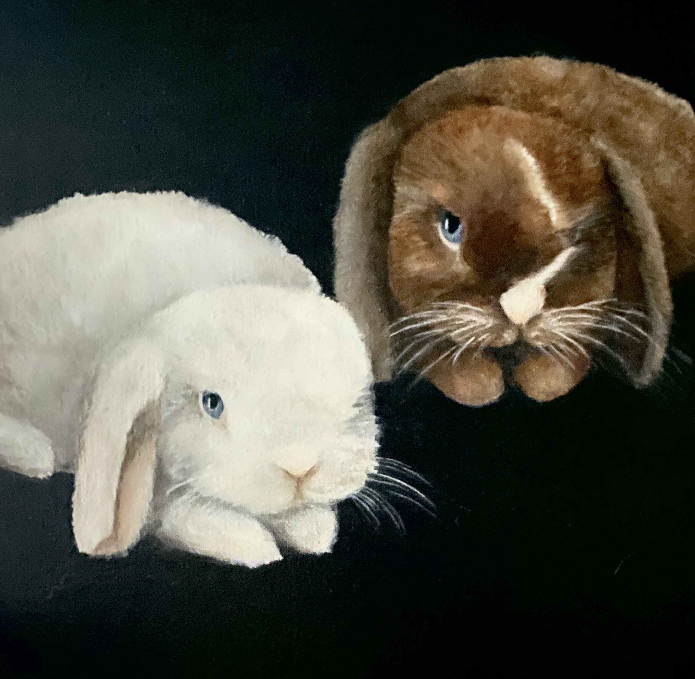 Sundae and Smudge are sweet lop eared rabbits created in oil on canvas, 12x12". *SOLD*