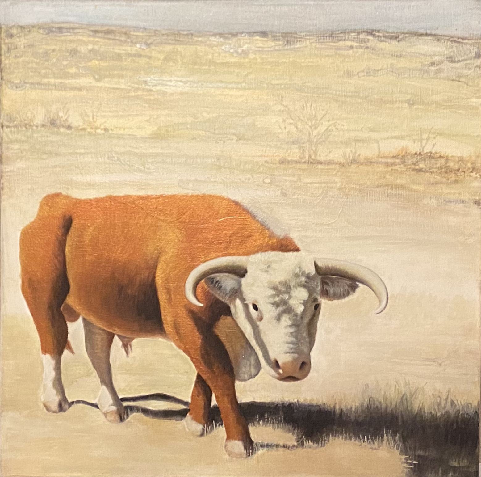 Red Hereford painted in metallic acrylic on canvas board, 12X12"