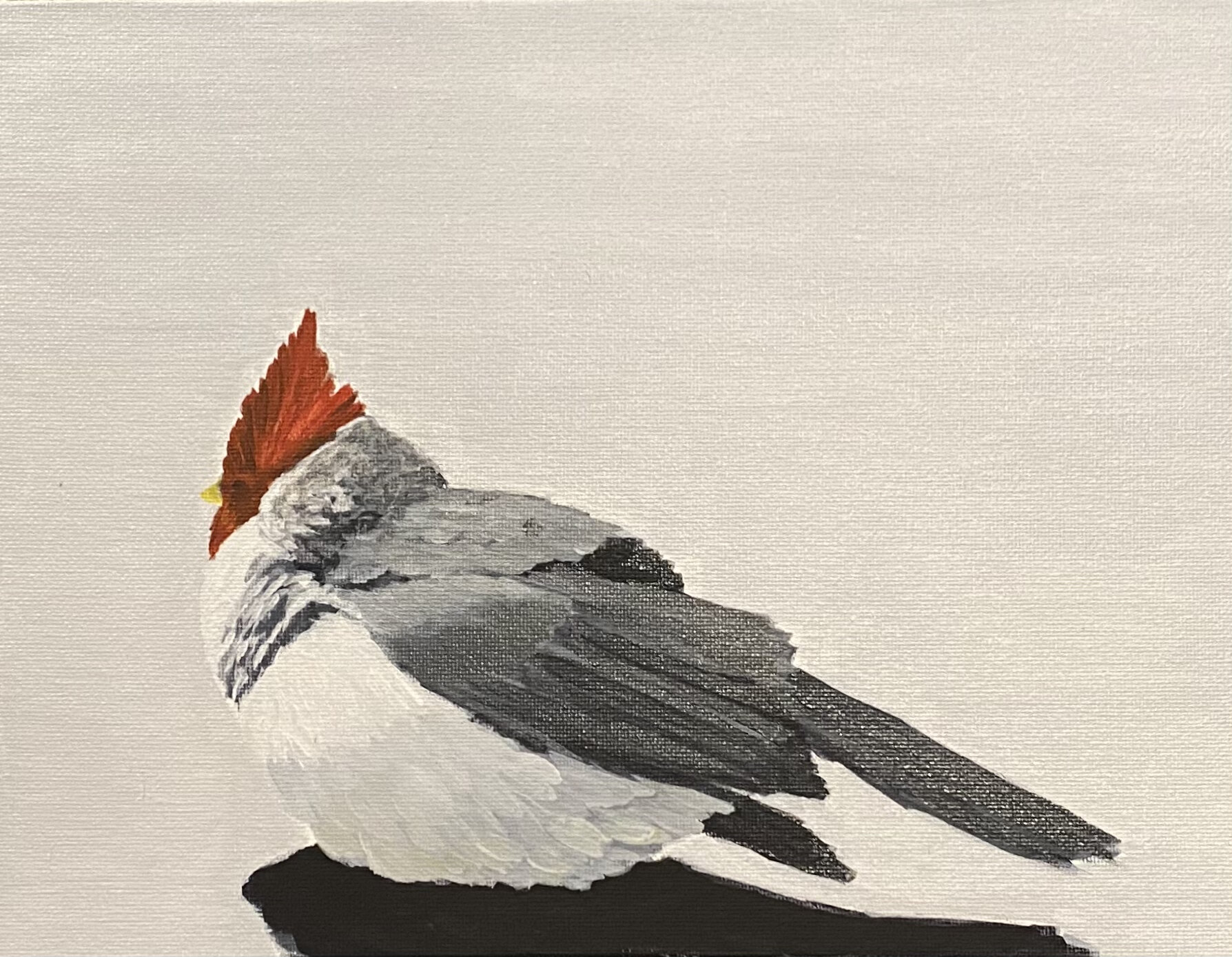 This Brazilian Red-Crested Cardinal is regal and elegant. Created in acrylic on board with metallic touches, 8x11".