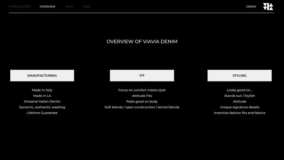 022024_VIAVIA_Denim_Direction_MAR24_v1 (2).jpg