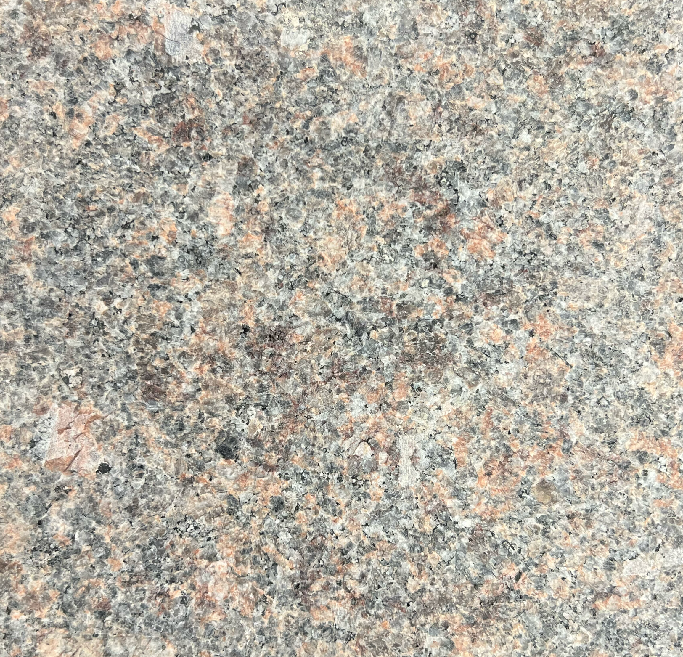 Mahogany Sapphire 10