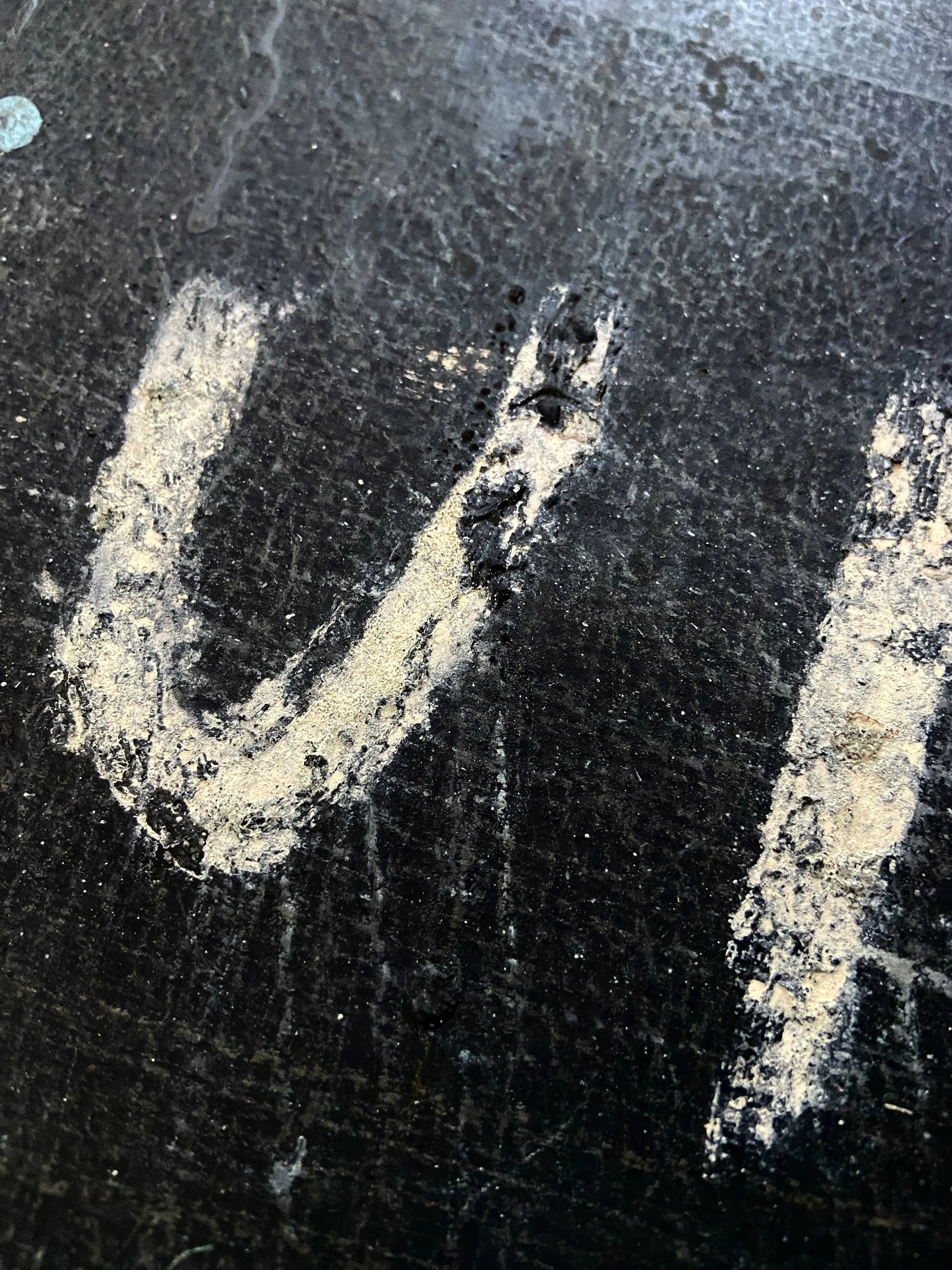 Post_Rodeo_Marks_Duke_Detail_Text.jpg