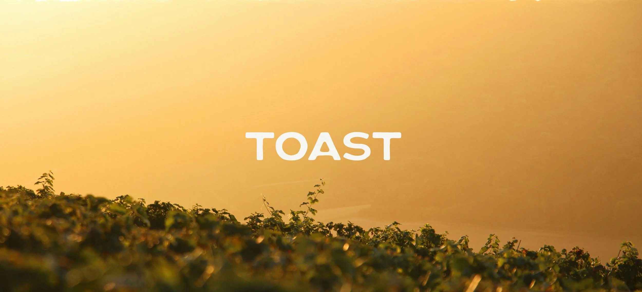 Sunset over a vineyard with the word "TOAST" centered in white letters.