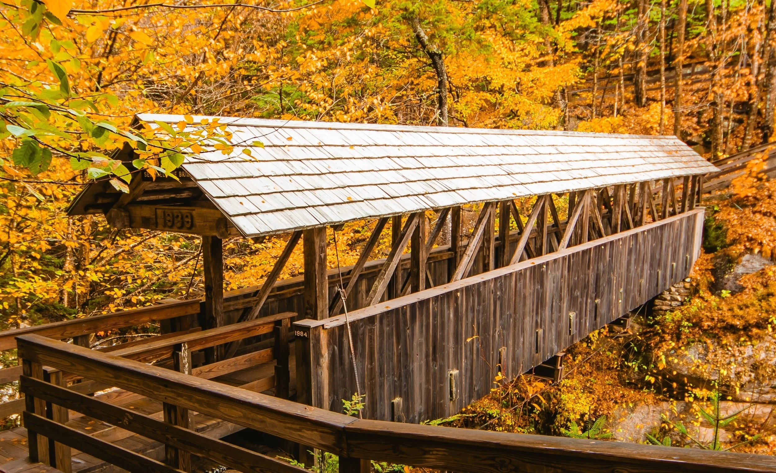 Fall: A Season of Change
