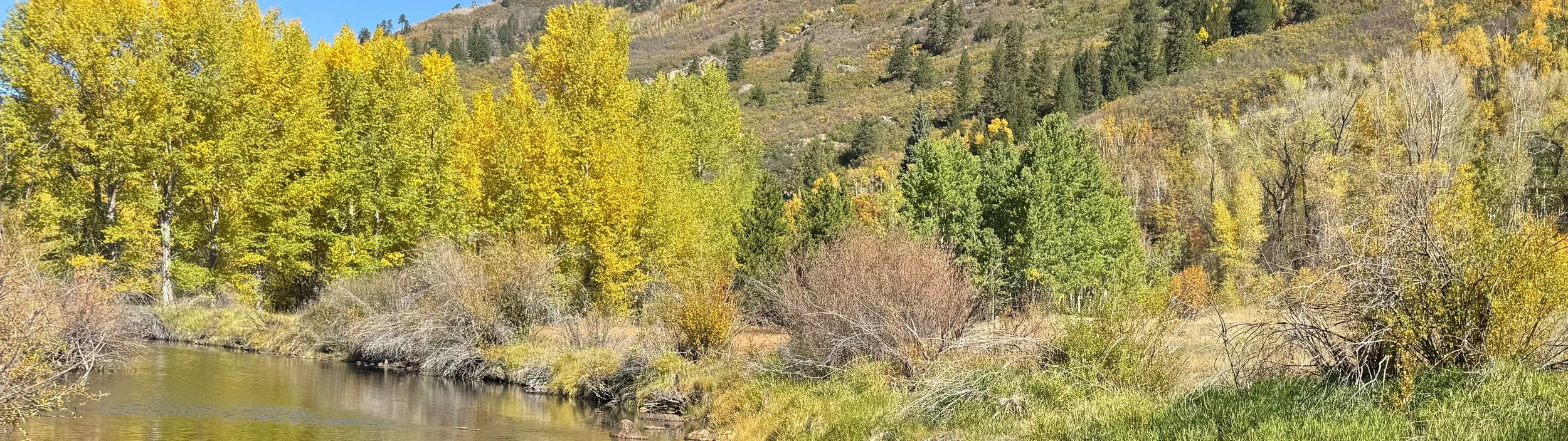 Fall… in line with God’s Will