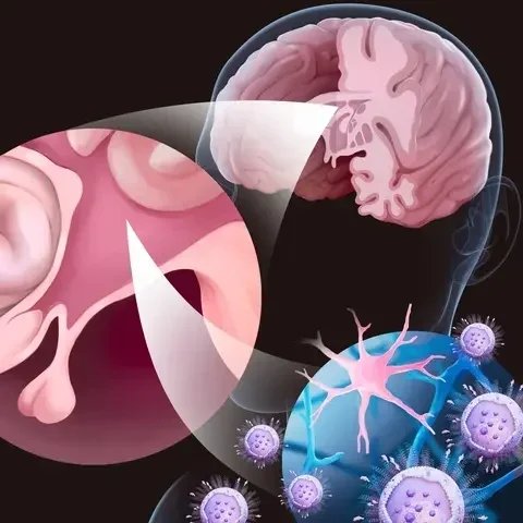 Groundbreaking research from our lab on a novel nanocarrier capable of penetrating the blood-brain barrier has been featured on OSU's newsroom. Click the image to learn more!