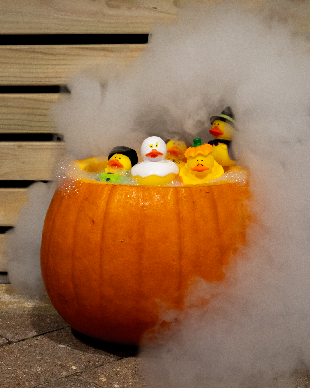 Halloween 2025 2.png