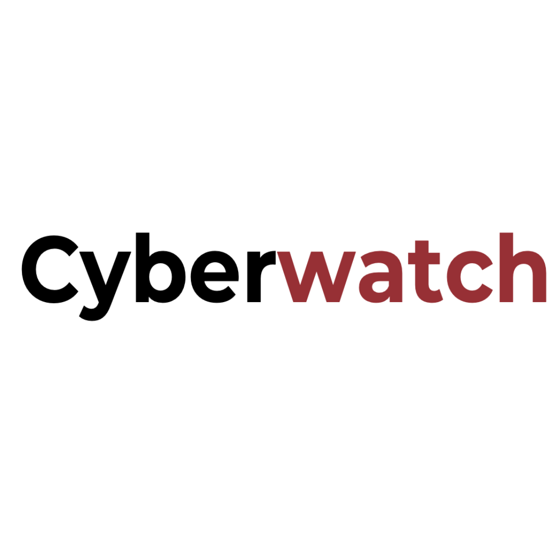 Cyberwatch Newsletter: December 2021