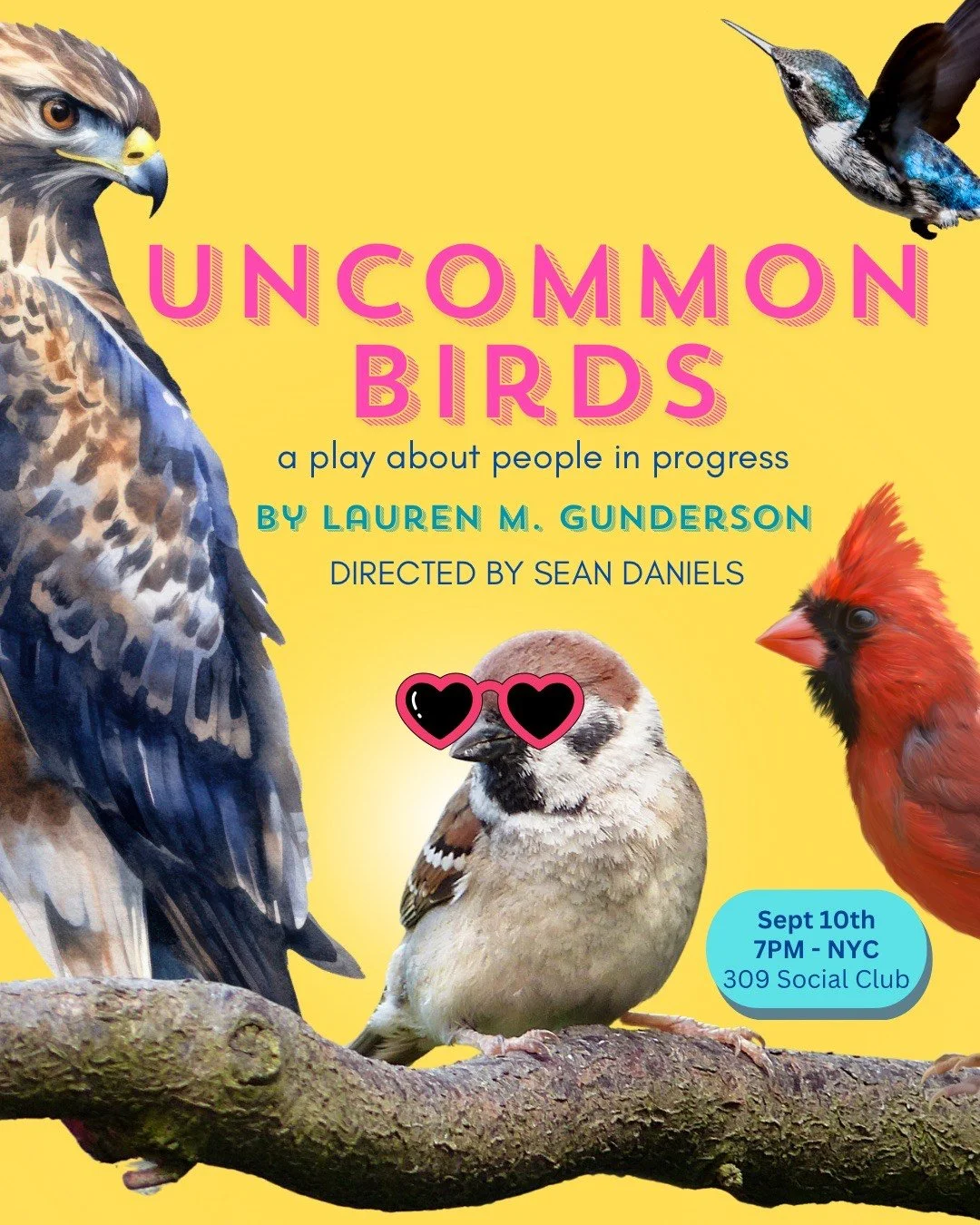 Uncommon Birds Reading