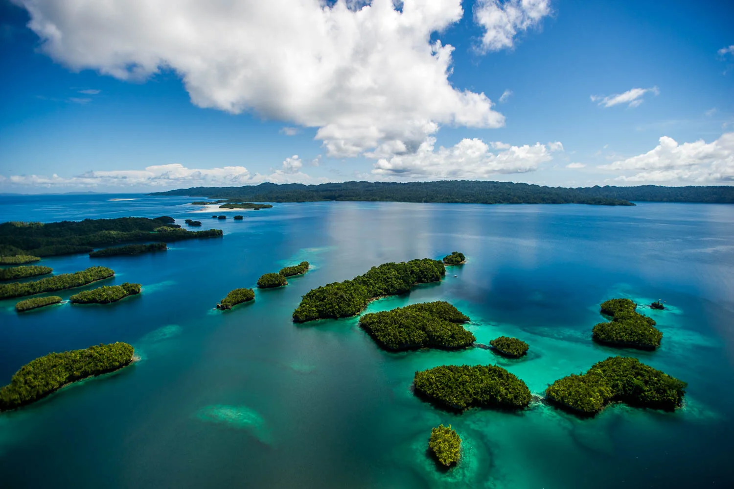 West Papua is home to one of the most spectacular and abundant ecosystems on earth with a bewildering variety of endemic species. The Raja Ampat archipelago has recently been recognised as the most biodiverse stretch of ocean on the planet.