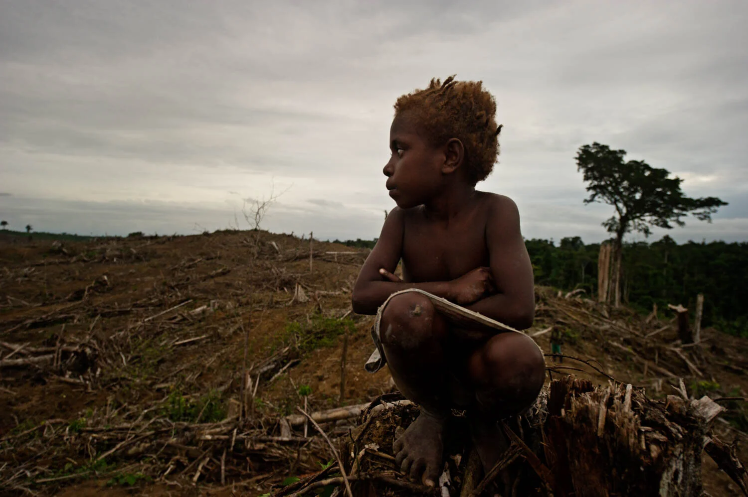 This Mooi community in the Sorong regency of West Papua sold their land to a palm oil company and have been left in extreme poverty without access to the forest which once supported them.