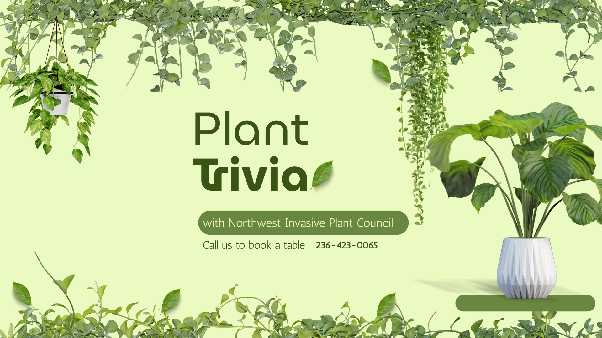 Plant Trivia with the Northwest Invasive Plant Council