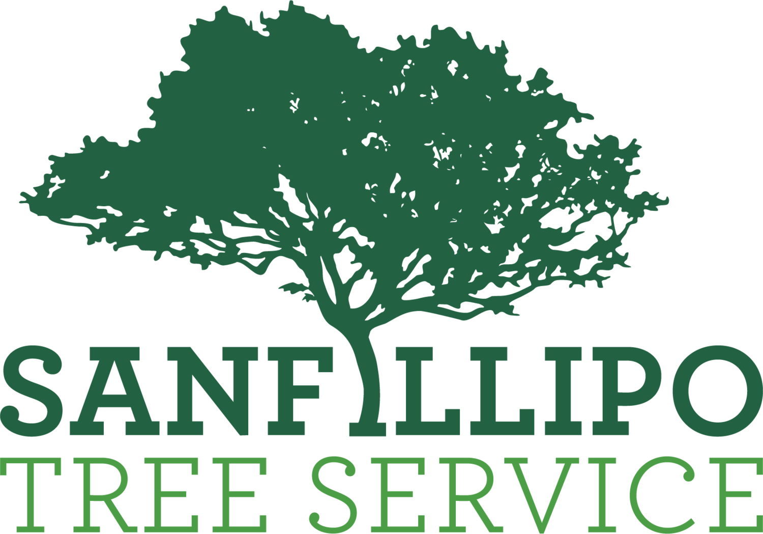 Sanfillipo Tree Service