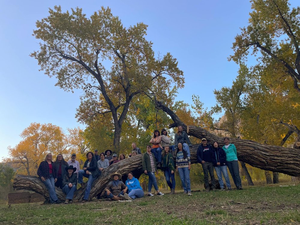 Loveland, CO Seasonal Jobs & Ranch Work Horse & Equine
