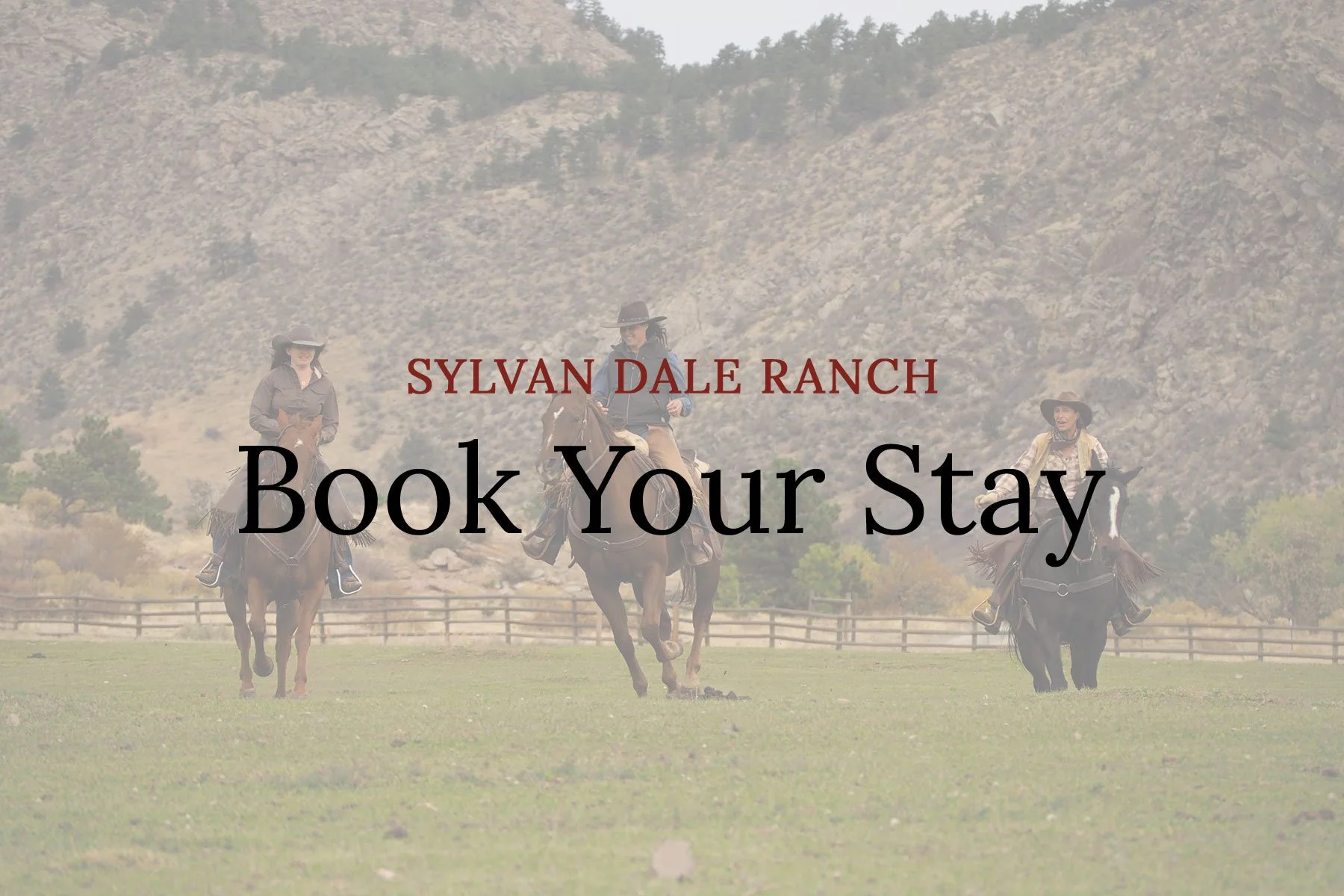 Book Your Holiday Tradition