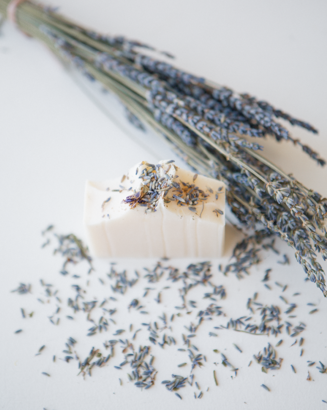 GatheredEmailMarketingArtboard 8.png