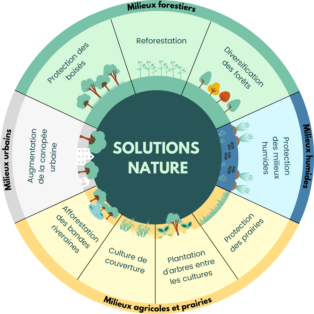 Habitat Solutions ancrées dans la nature