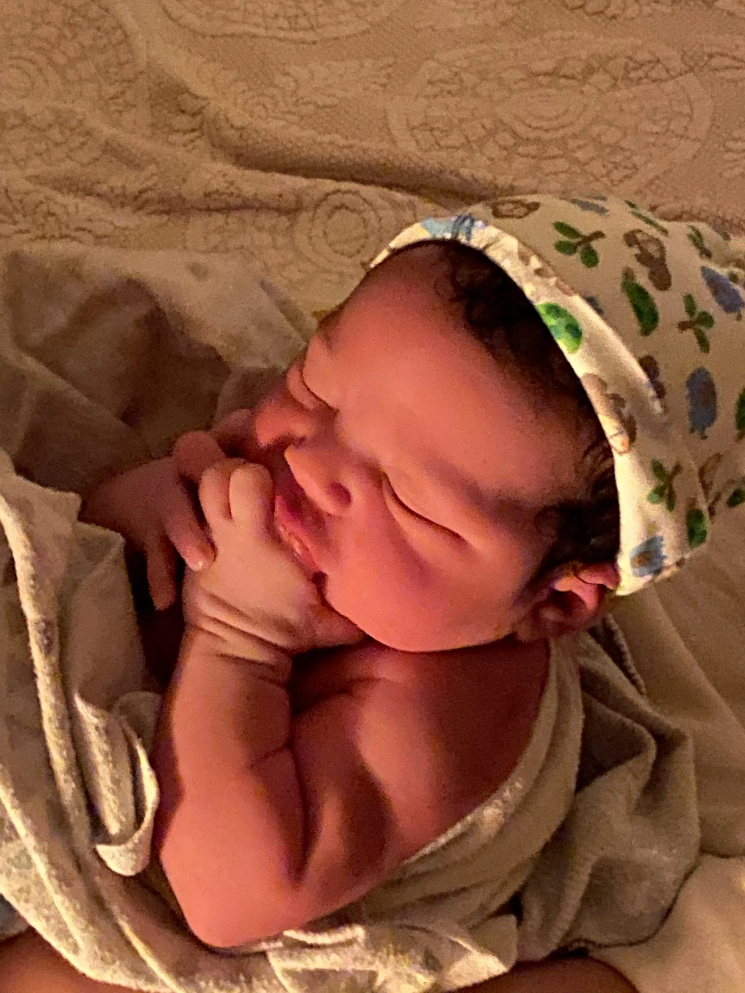 Newborn love with Cara Frantz, Midwife in attendance. 