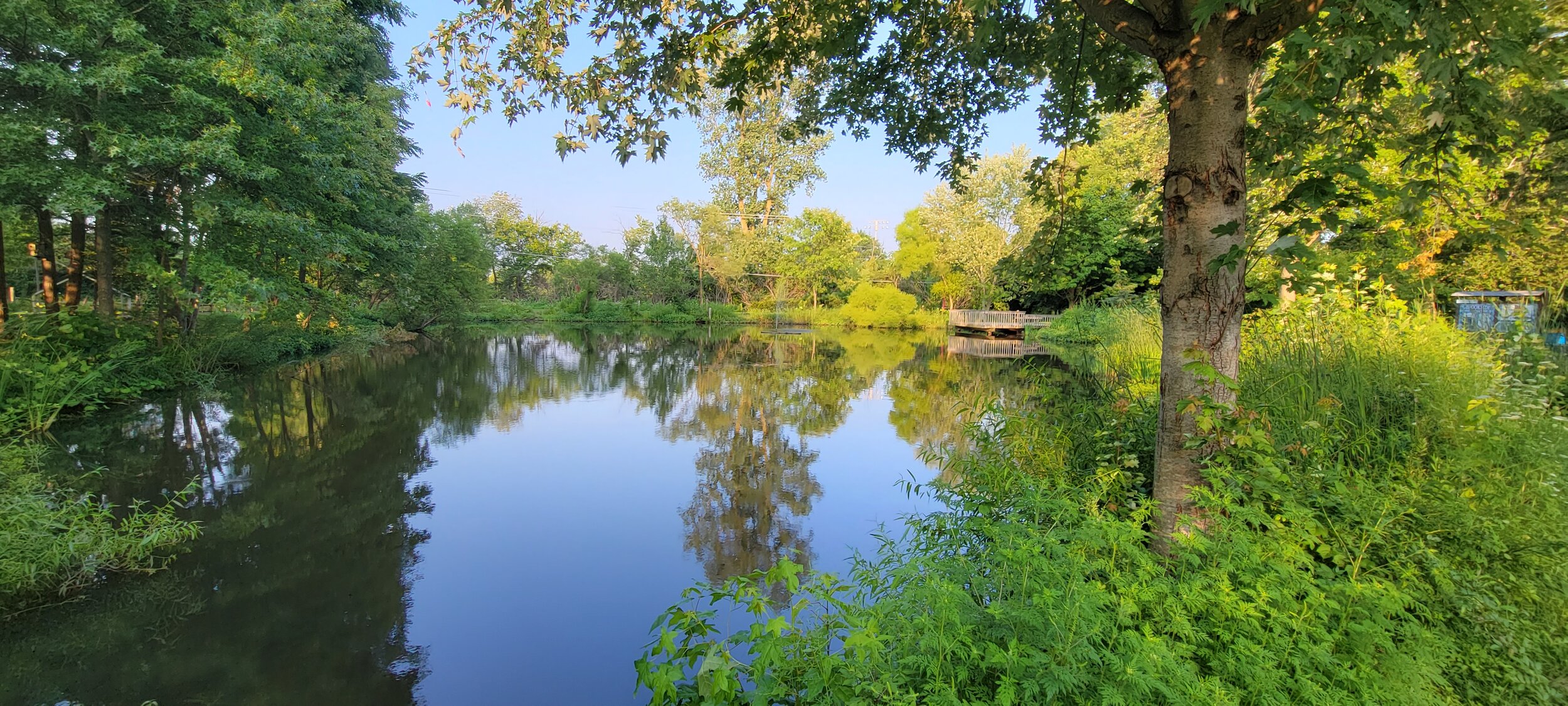 20210801_191807.jpg