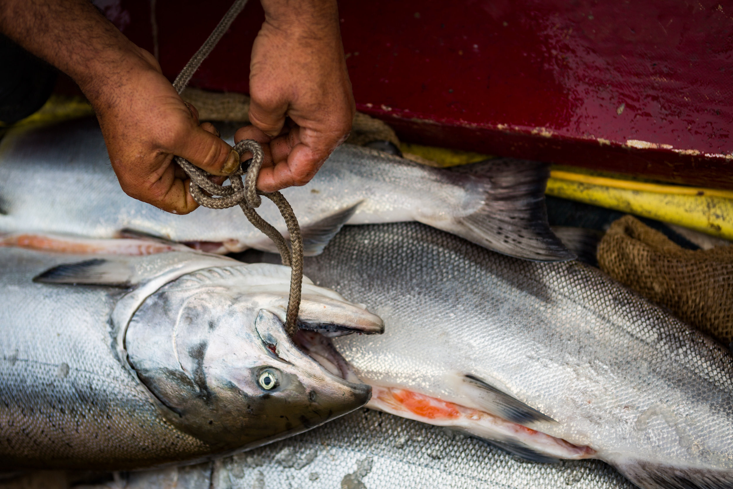 CAFishermen#002.jpg