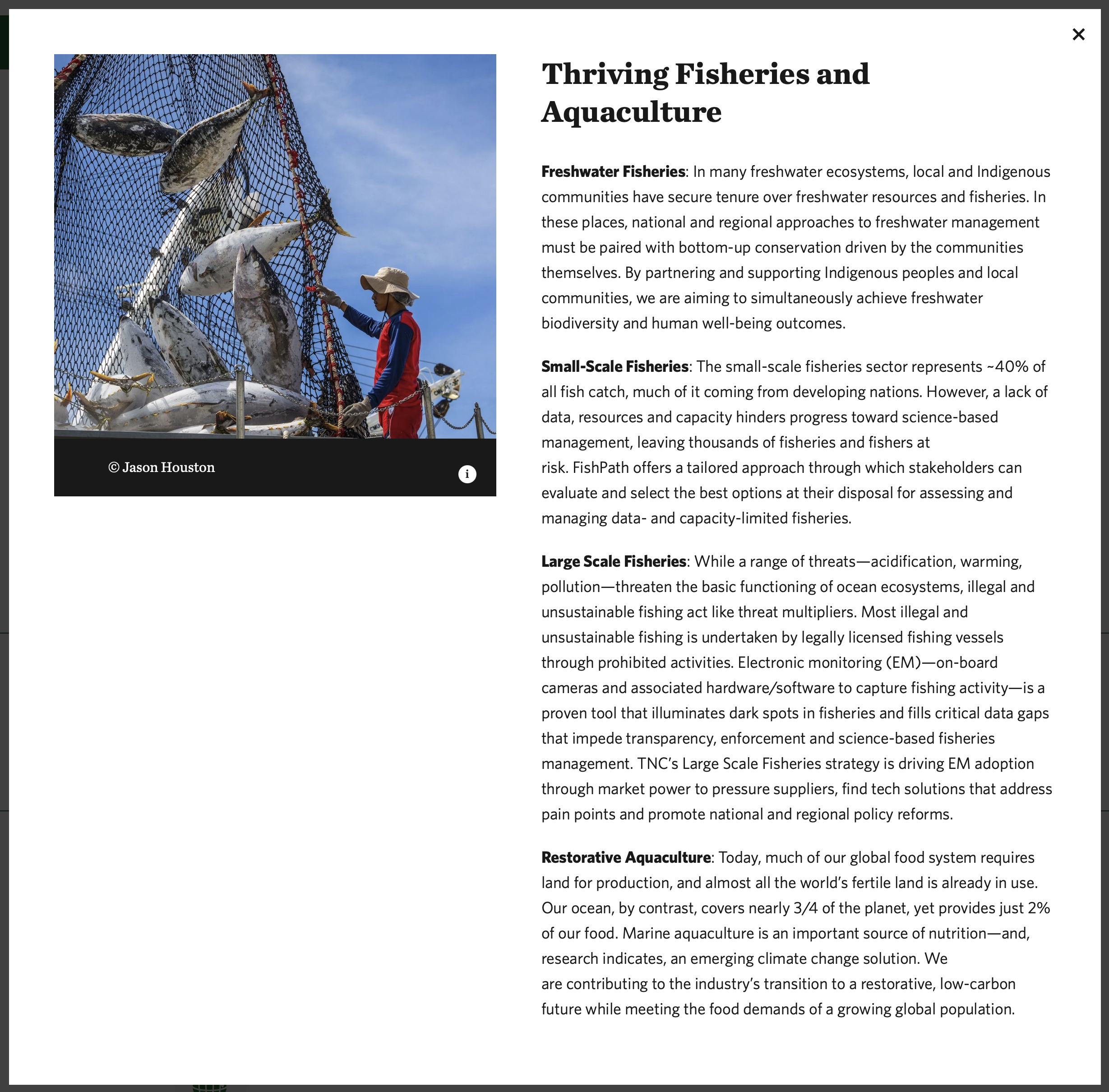 TNC 2025 Annual Report online.png