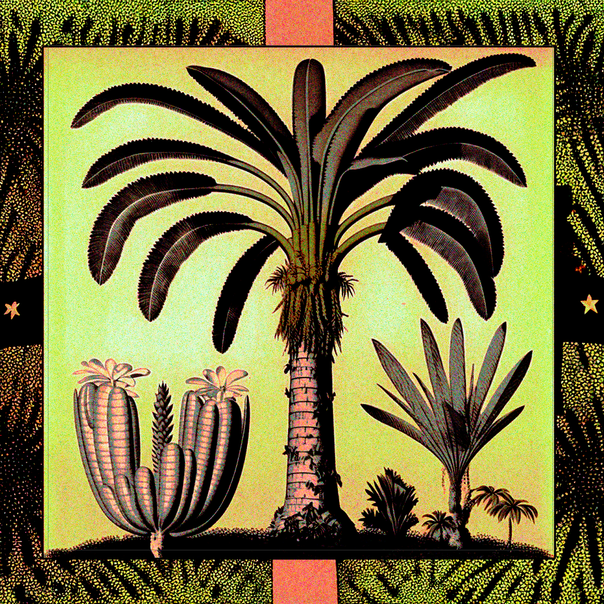 Krewe du Kanaval Arcade Fire New Orleans Preservation Hall Mardi Grass krewe musis festival band design logo branding lineup poster artist graphic style merch design