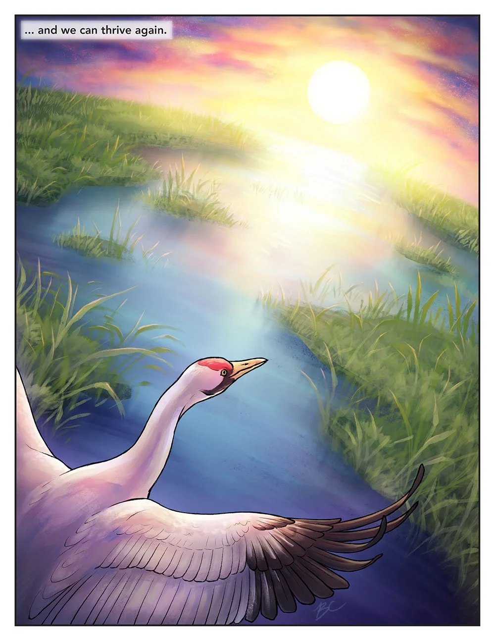 Scientific comic that portrays migration from a whooping crane's perspective. This page shows a whooping crane flying over wetlands, rendered in beautiful colour in stark contrast to the desaturated colours of the rest of the comic.