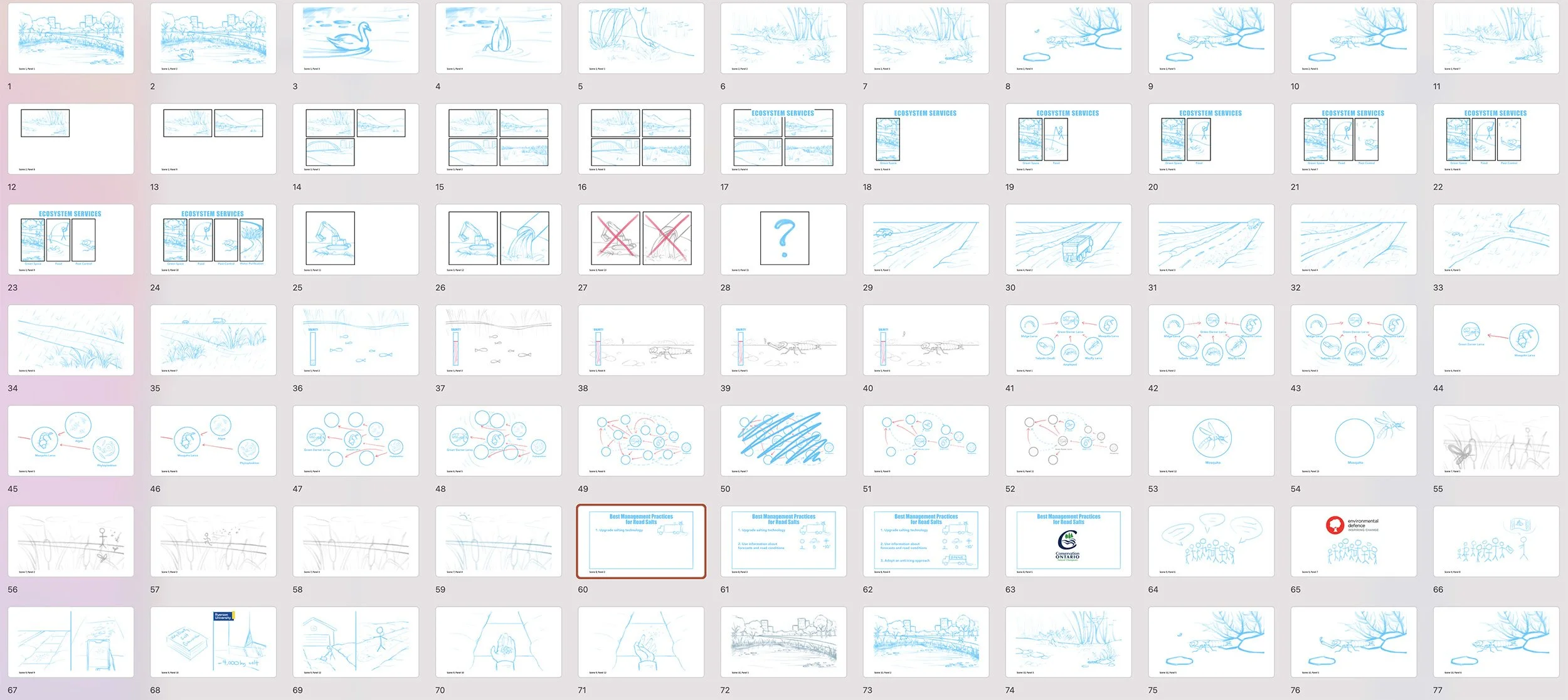 Storyboard of the animation "The Impacts of Road Salts on Freshwater Ecosystems". Includes sketches of all scenes and movement within and transitions between them.