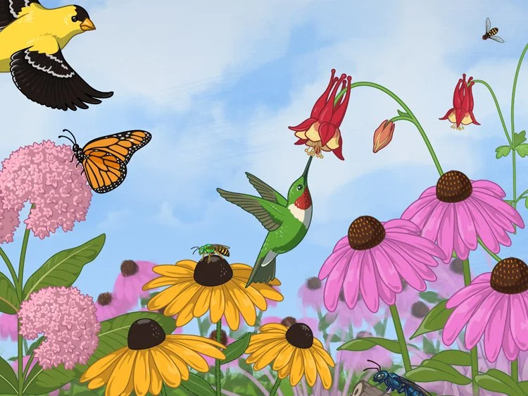 Making a Pollinator Pit Stop