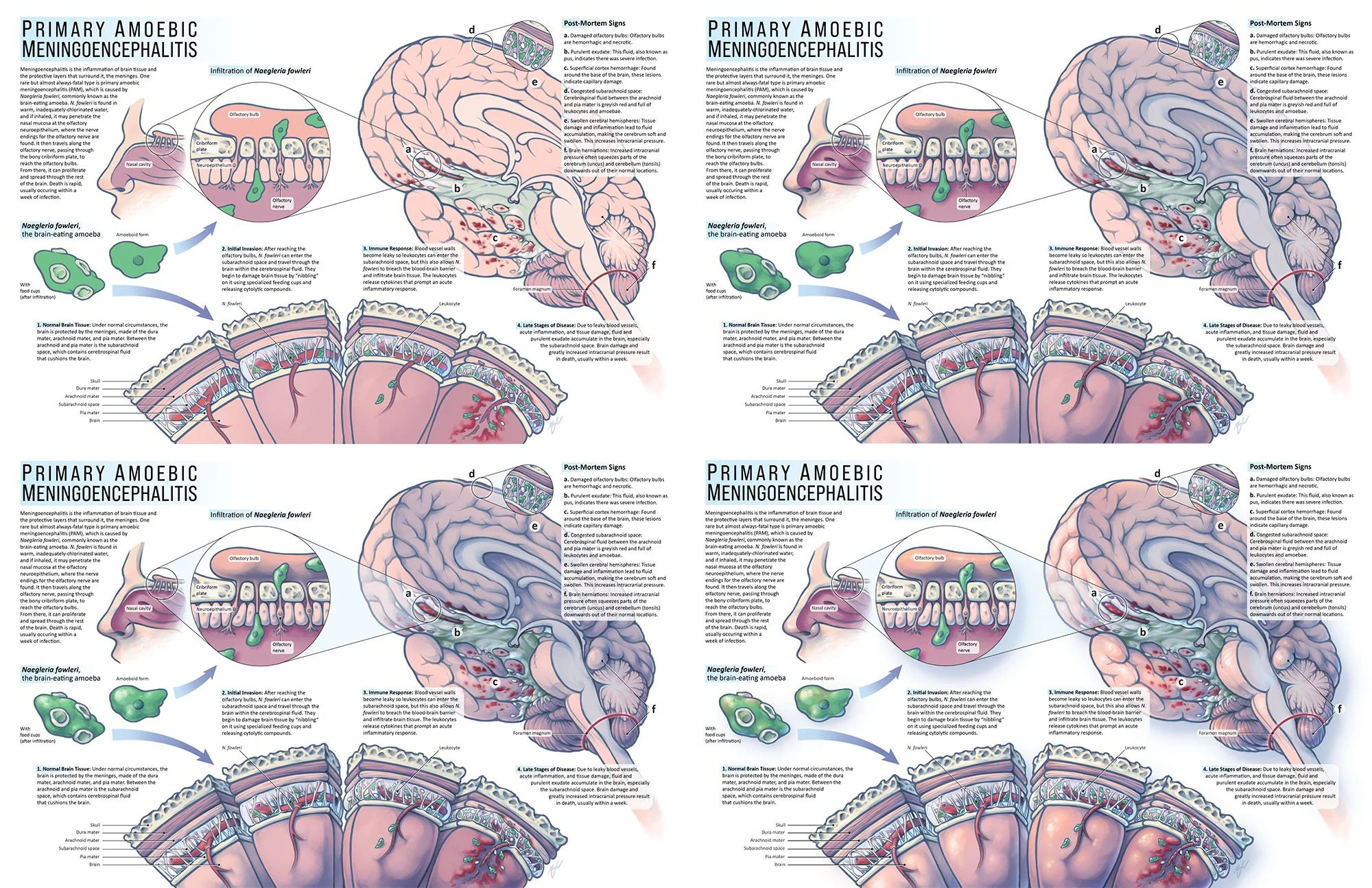 Images showing the shading and refinement process of the graphics. Flat colours, two layers of shading, and finally specular highlights and colour variations.