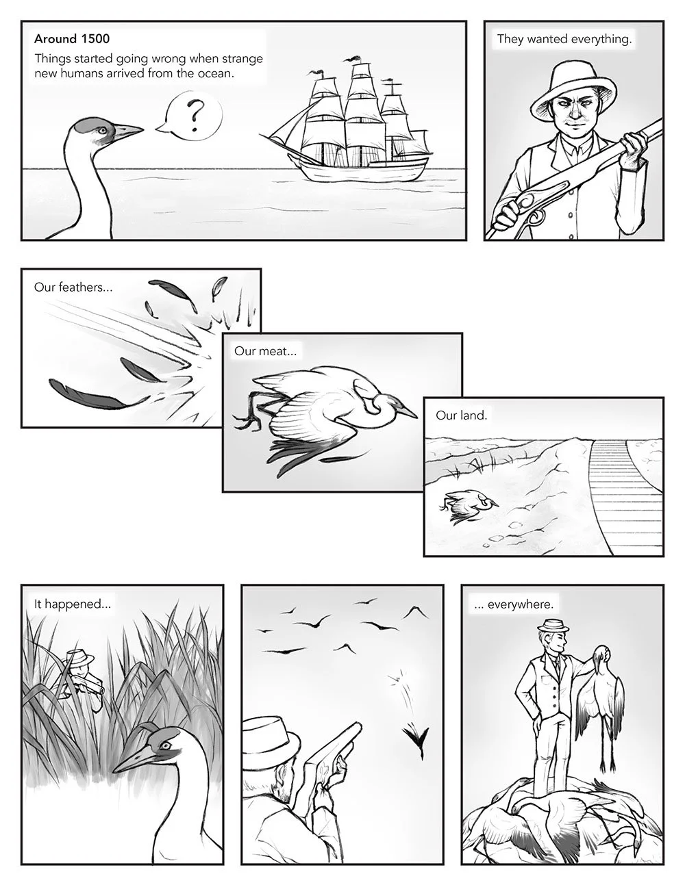 Scientific comic that portrays migration from a whooping crane's perspective. This page describes the history of their conservation status in the 1500s, when they were heavily hunted.