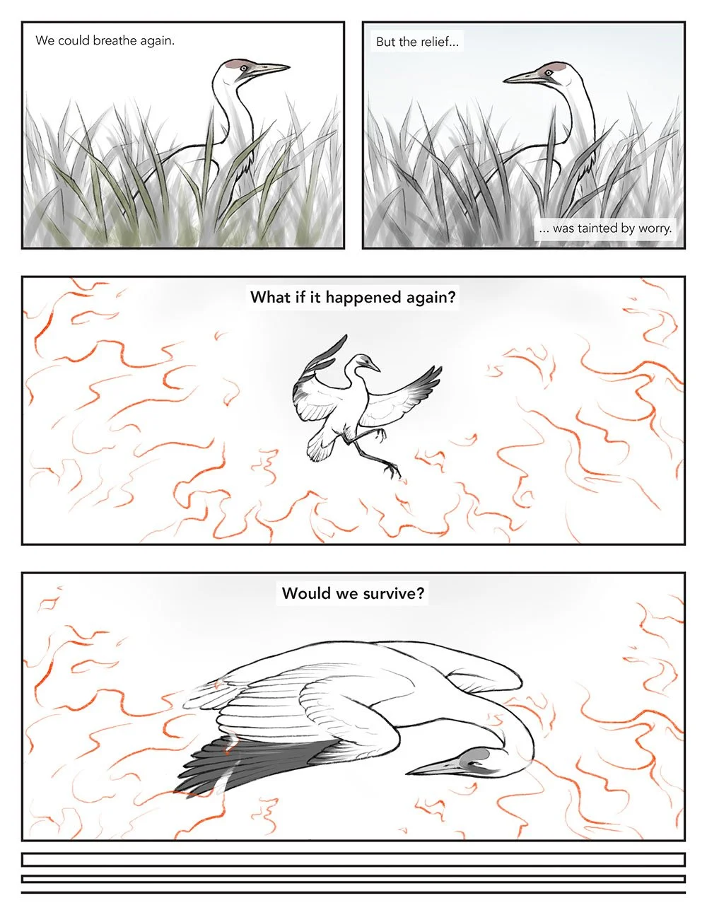 Scientific comic that portrays migration from a whooping crane's perspective.