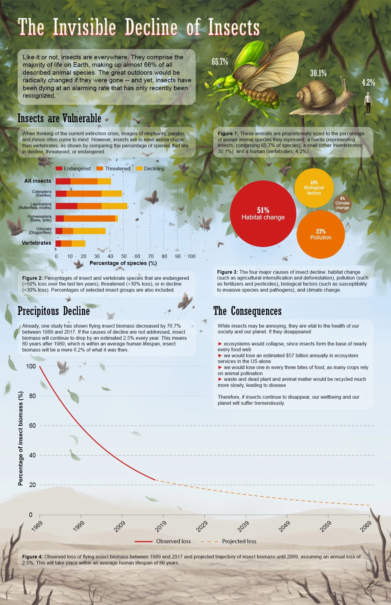 Scientific infographic describing the importance of insects to our planet and how their decline and extinction will have effects on the natural world and our society, thus encouraging the audience to take conservation action.