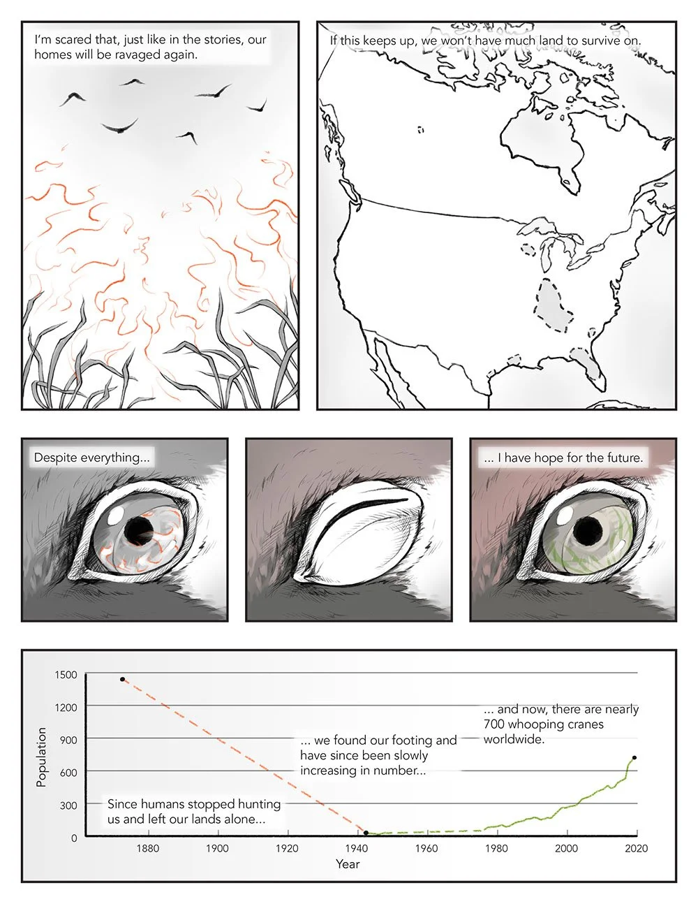 Scientific comic that portrays migration from a whooping crane's perspective. This page shows the historic steep decrease and recent recovery of the whooping crane population.